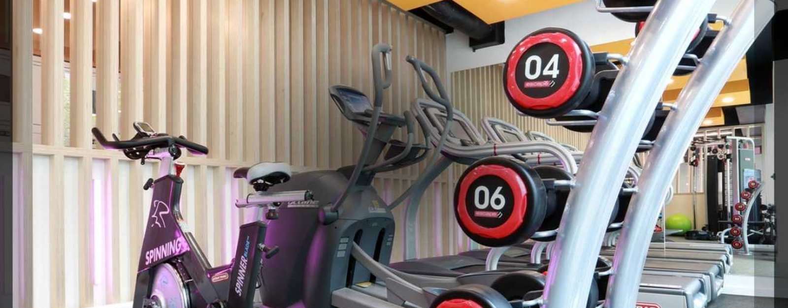 GREAT SUFFOLK HOUSE (3)